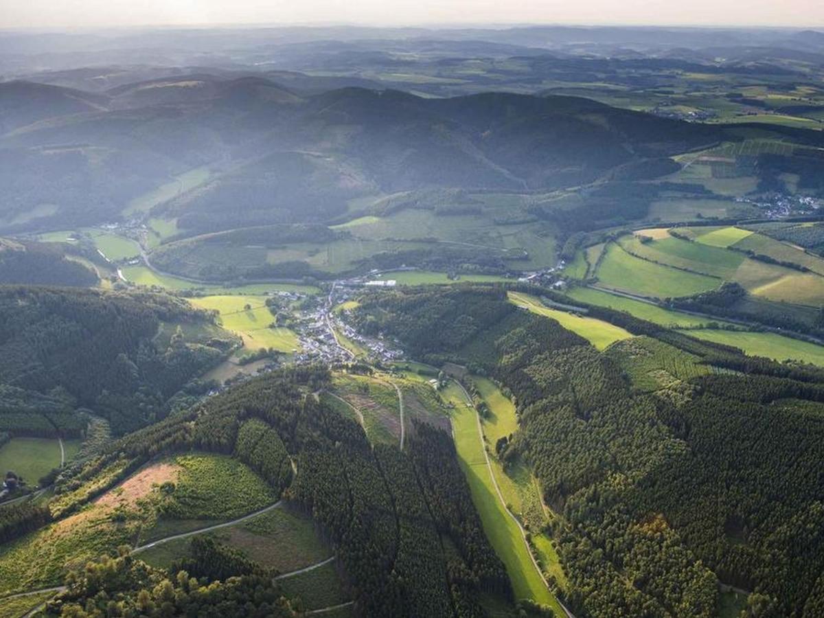 Vergissmeinnicht Sauerland